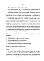 Referāts 'Jauniešu informētība par bērnu verdzību', 5.