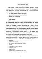 Referāts 'Jauniešu informētība par bērnu verdzību', 8.