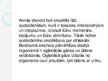 Prezentācija 'Alkohola ietekme uz cilvēka organismu', 7.