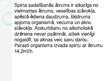Prezentācija 'Alkohola ietekme uz cilvēka organismu', 8.
