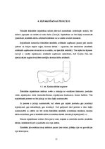 Referāts 'Šokolādes konfekšu iepakošana', 15.