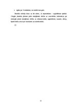 Referāts 'Šokolādes konfekšu iepakošana', 22.