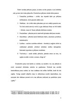 Konspekts 'Pētījuma process', 2.