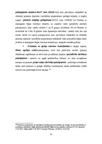 Referāts 'Invalīdu kā sociālā riska grupas nodarbinātības problemātika', 19.