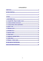 Diplomdarbs 'Nodokļu sistēma Latvijā un tās attīstība', 65.