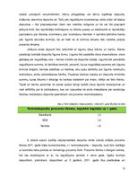 Referāts 'Privātpersonu investīciju iespējas Latvijā', 13.