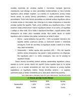 Referāts 'Privātpersonu investīciju iespējas Latvijā', 17.