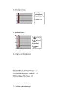 Konspekts 'Zināšanu apkopojums par baznīcu', 2.