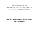 Referāts 'Krūšu kurvja ekskursijas un formas noteikšana Daugavpils skolu 4.klašu skolēniem', 1.