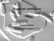 Prezentācija 'Augsnes baktērijas', 1.