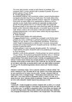 Referāts 'Jūdaisms', 2.