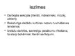 Prezentācija 'Mākslinieku grupas Latvijā 20.gadsimta 20.-30.gados', 7.