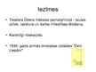 Prezentācija 'Mākslinieku grupas Latvijā 20.gadsimta 20.-30.gados', 13.