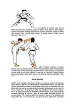 Konspekts 'Karatē kā pielāgotā fiziskā aktivitāte. Raksturojums no fizioterapijas viedokļa', 4.