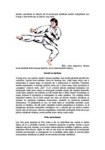 Konspekts 'Karatē kā pielāgotā fiziskā aktivitāte. Raksturojums no fizioterapijas viedokļa', 5.