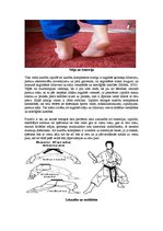 Konspekts 'Karatē kā pielāgotā fiziskā aktivitāte. Raksturojums no fizioterapijas viedokļa', 6.