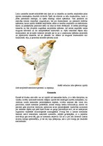 Konspekts 'Karatē kā pielāgotā fiziskā aktivitāte. Raksturojums no fizioterapijas viedokļa', 7.