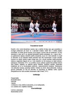 Konspekts 'Karatē kā pielāgotā fiziskā aktivitāte. Raksturojums no fizioterapijas viedokļa', 8.