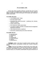 Referāts 'Valodas stili', 18.