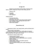 Referāts 'Valodas stili', 22.