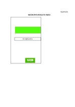 Diplomdarbs 'Mārketinga stratēģijas pilnveide investīciju produktiem SEB bankā Latvijā', 121.