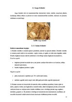 Referāts 'Kokskaidu briketes', 10.