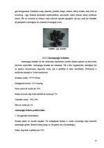 Referāts 'Kokskaidu briketes', 14.