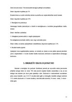 Referāts 'Kokskaidu briketes', 15.
