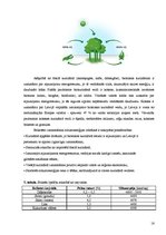 Referāts 'Kokskaidu briketes', 16.