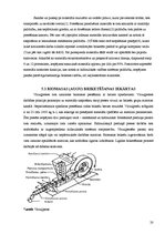 Referāts 'Kokskaidu briketes', 20.