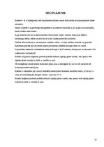 Referāts 'Kokskaidu briketes', 28.