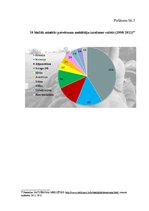 Diplomdarbs 'Patvēruma saņemšanas procedūras tiesiskie aspekti Latvijā', 92.