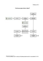 Diplomdarbs 'Patvēruma saņemšanas procedūras tiesiskie aspekti Latvijā', 94.