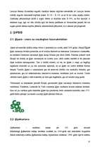 Referāts 'Visplašāk izmantotie būvmateriāli', 10.