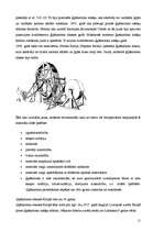 Referāts 'Visplašāk izmantotie būvmateriāli', 11.