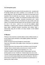 Referāts 'Visplašāk izmantotie būvmateriāli', 16.