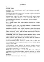 Diplomdarbs 'Bībeles sižeti U.Karatkeviča romānā “Kristus nolaidās Grodņā ”: interpretācijas ', 2.