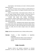 Konspekts 'Indijas ārējie ekonomiskie sakari', 2.