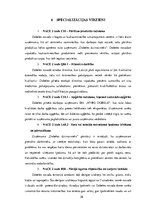 Referāts 'Dobeles novada raksturojums', 26.