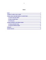 Referāts 'Panika: tās profilakse un pārvarēšanas iespējas', 2.