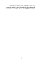 Biznesa plāns 'Biznesa plāns SIA "Dravas"', 25.