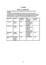 Biznesa plāns 'Biznesa plāns SIA "Dravas"', 28.