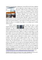 Referāts '16.marta leģionāru piemiņas dienas gājiens', 4.