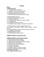 Referāts 'Mārketinga plāns rotaļlietu realizēšanai', 2.