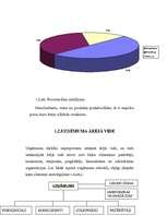 Referāts 'Mārketinga plāns rotaļlietu realizēšanai', 18.