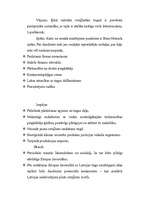 Referāts 'Mārketinga plāns rotaļlietu realizēšanai', 20.