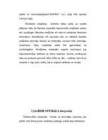 Referāts 'Mārketinga plāns rotaļlietu realizēšanai', 33.