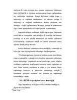 Referāts 'Mārketinga plāns rotaļlietu realizēšanai', 45.