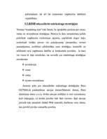 Referāts 'Mārketinga plāns rotaļlietu realizēšanai', 51.