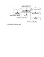 Referāts 'Mārketinga plāns rotaļlietu realizēšanai', 81.